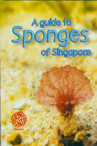 A Guide to Sponges of Singapore